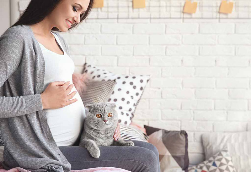 donne in gravidanza e gatti