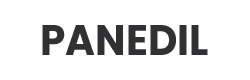 Logo Panedil